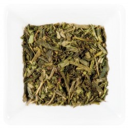 Bio Sencha - grüner Tee aus China