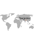 Bio Darjeeling Tee - online kaufen | Teacup [AT]