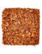 Rooibos - Rotbuschtee - online kaufen |☕ Teacup [AT]