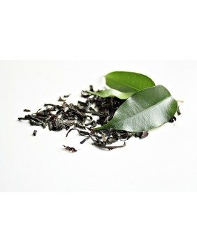 Grüner Tee - online kaufen ☙ Teacup [AT] ☙