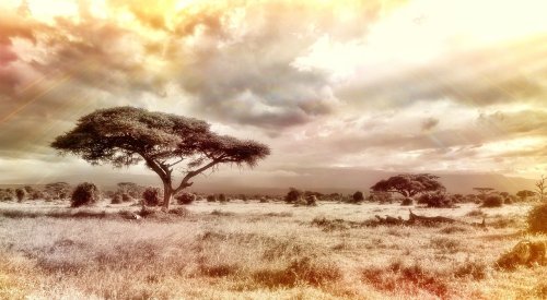 Afrika Landschaft aus der Savanne