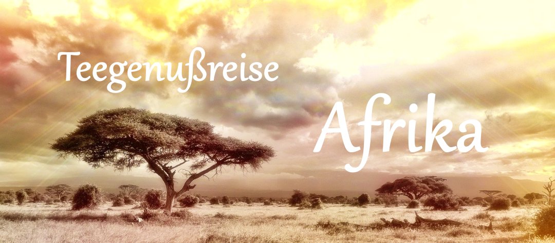 Landschaftsbild von der Savanne von Afrika mit der Aufschrift Teereise Afrika