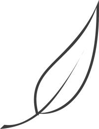 Teeblatt in Schwarz Weiß